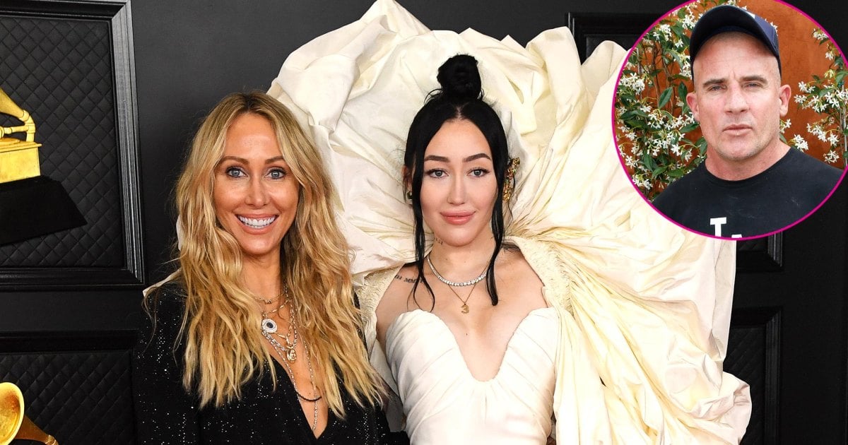 How Tish and Noah Cyrus Are 'Rebuilding Their Relationship' After Drama