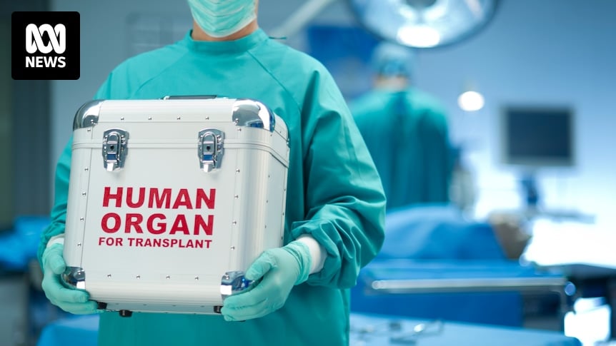 Illegal organ trafficking is big business, and vulnerable people are at risk. Could an ethical organ trade solve this?