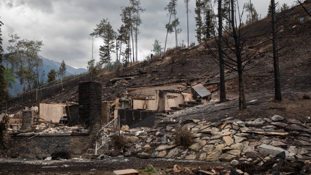 Jasper residents who lost homes in wildfire can register for bus tours online