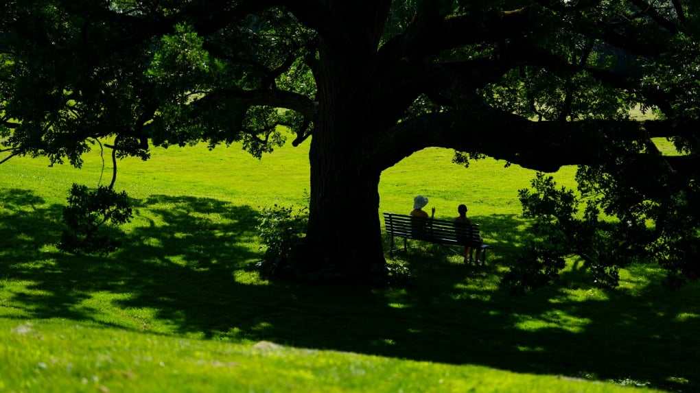 Long weekend weather: Heat waves drag on across the country