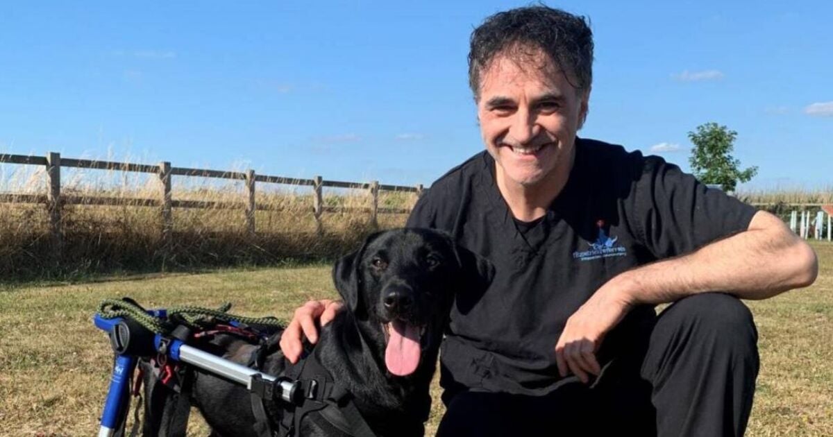 Noel Fitzpatrick girlfriend: Who is The Supervet dating?