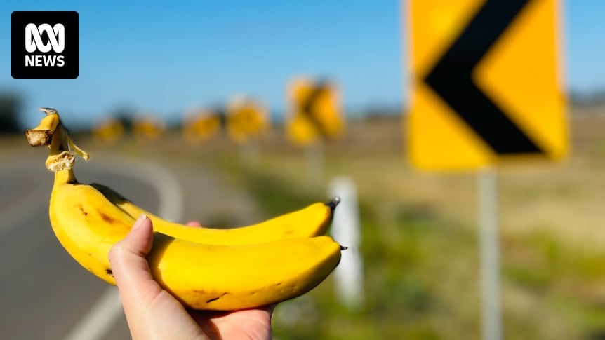 Notorious bend in road at Theodore dubbed 'fruit salad corner'