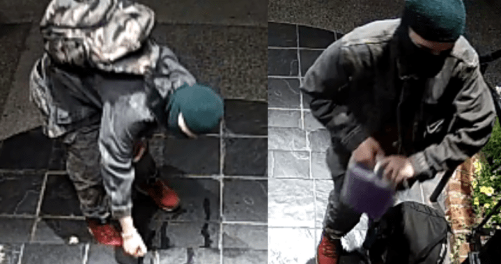 Oak Bay arson attempt: Police release photos of suspect