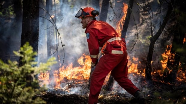 Officials say some residents interfering with Slocan Lake wildfire crews in B.C.