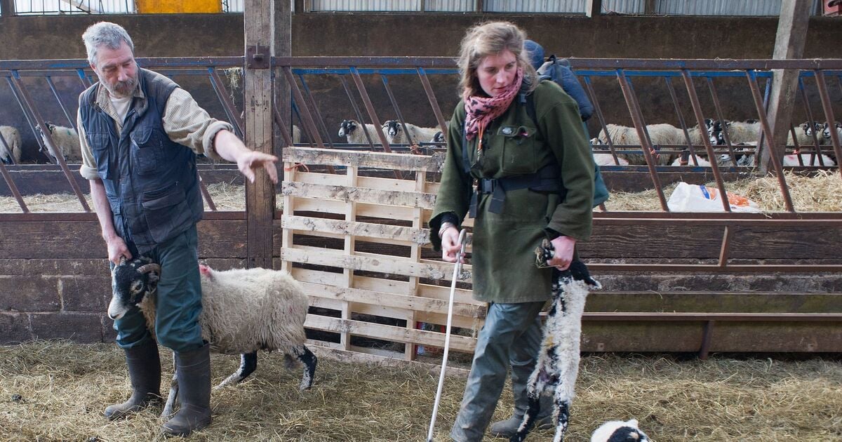 Our Yorkshire Farm's Clive Owen shows 'true colours' after farm breakdown