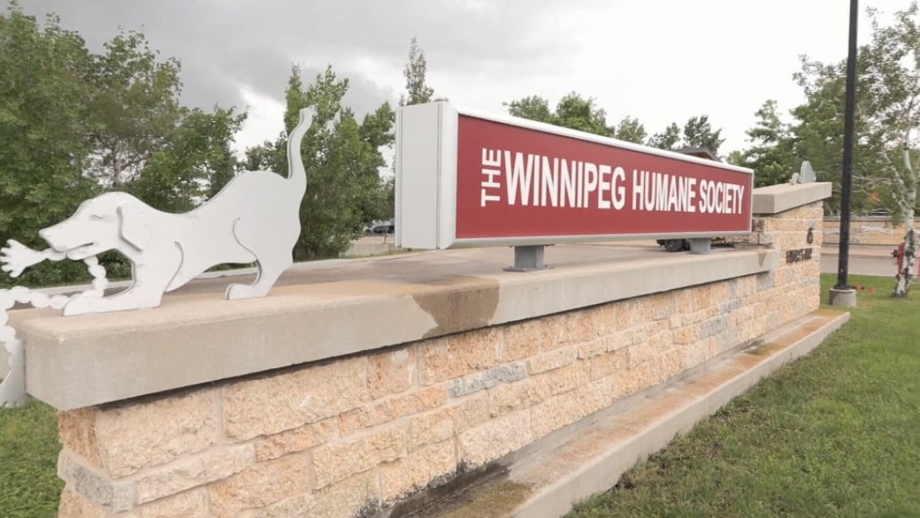 Over 130 dogs removed from home north of Winnipeg: Humane Society