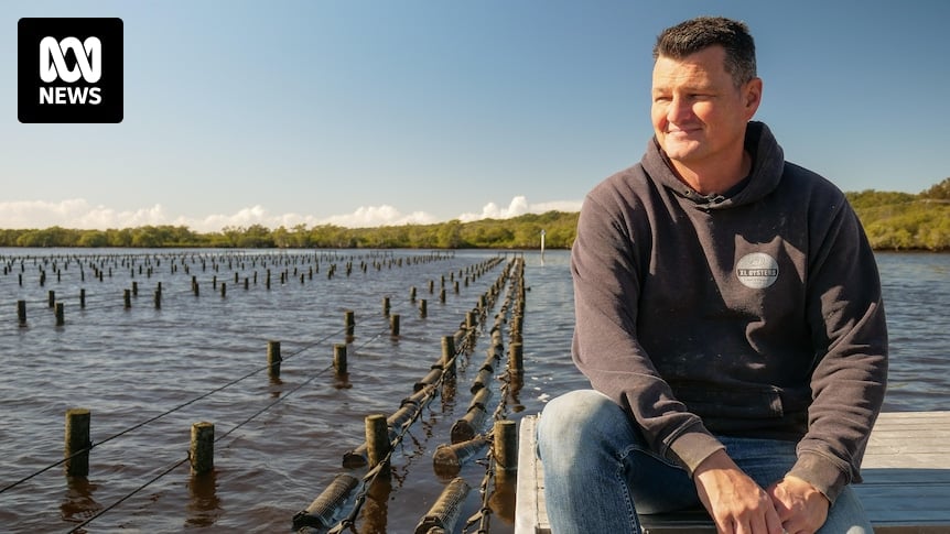 Oyster farmers turn to new species and other estuaries to survive QX disease