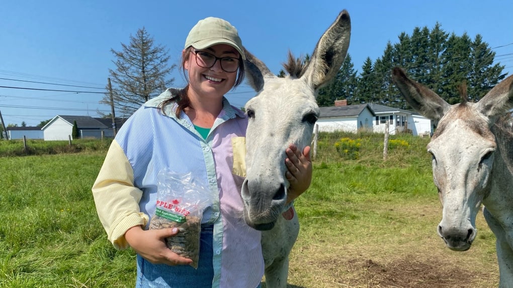 Pennsylvania donkeys come to the Maritimes with a big purpose