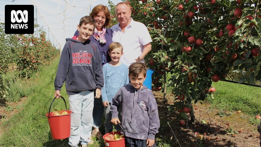 Pick-your-own farms are becoming increasingly popular with growers and customers