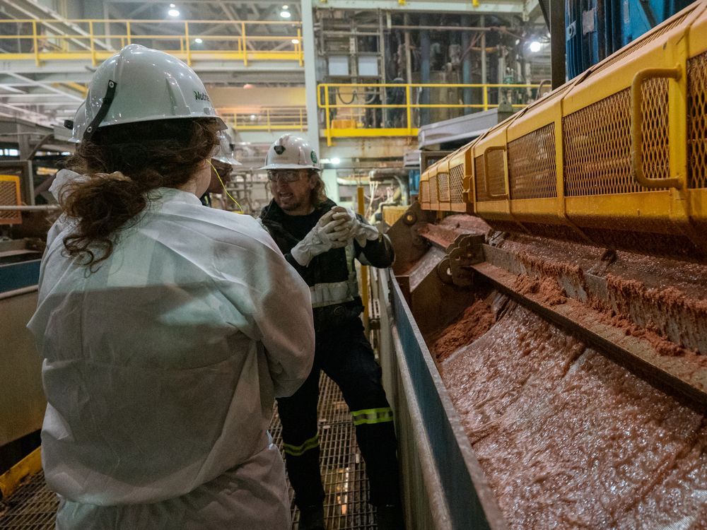 Rail strike would take bite out of potash sales: Nutrien