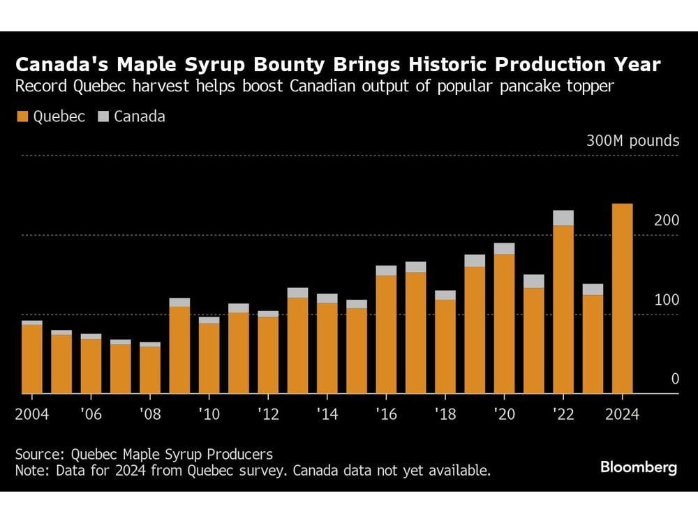 Record Maple Syrup Harvest Not Enough as Quebec Eyes Bigger Bounty