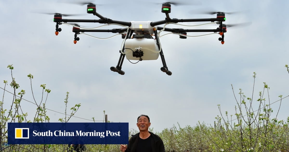 Shanghai unveils plan to transform suburbs through unmanned farms with drone-grown crops