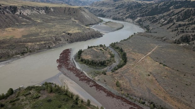 Surge of water from B.C. landslide dam breach fills Fraser River