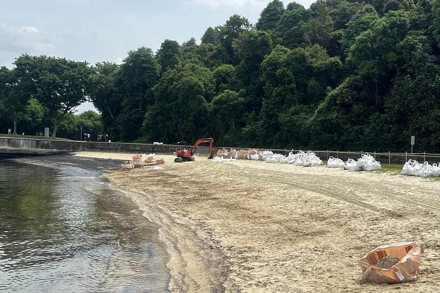 Swimming, water activities resume at popular Lazarus Island beach after oil spill clean-up ends