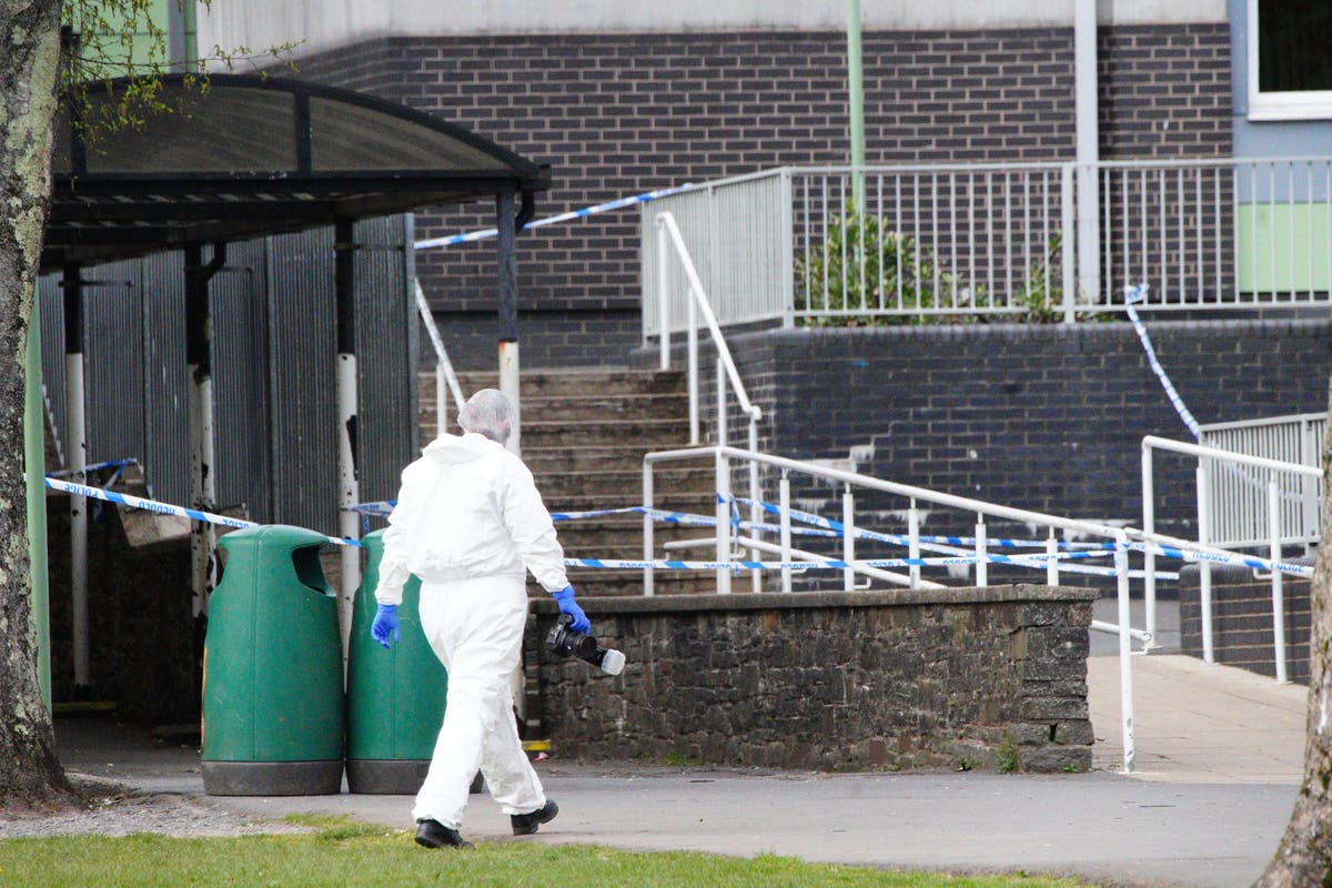 Teenager denies attempted murder over school stabbings