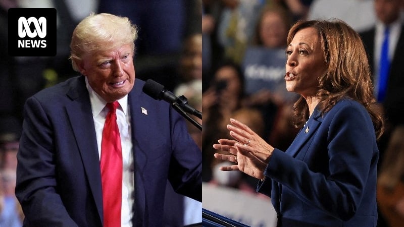 The FBI is investigating alleged hacks targeting Donald Trump's and Kamala Harris's presidential campaigns. Here's what we know