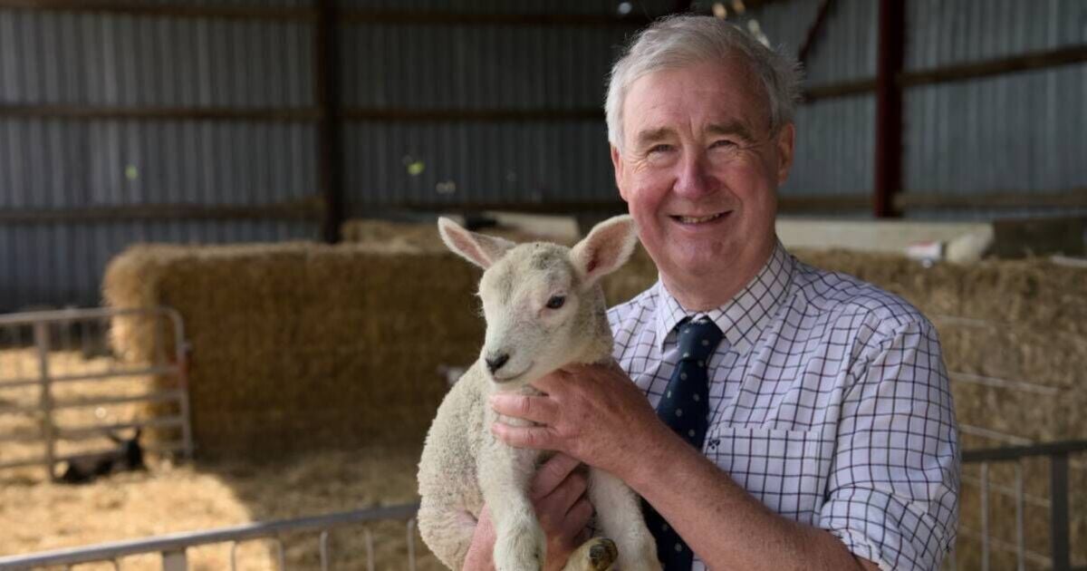 The Yorkshire Vet's Peter Wright performs emergency surgery in desperate bid to save lamb