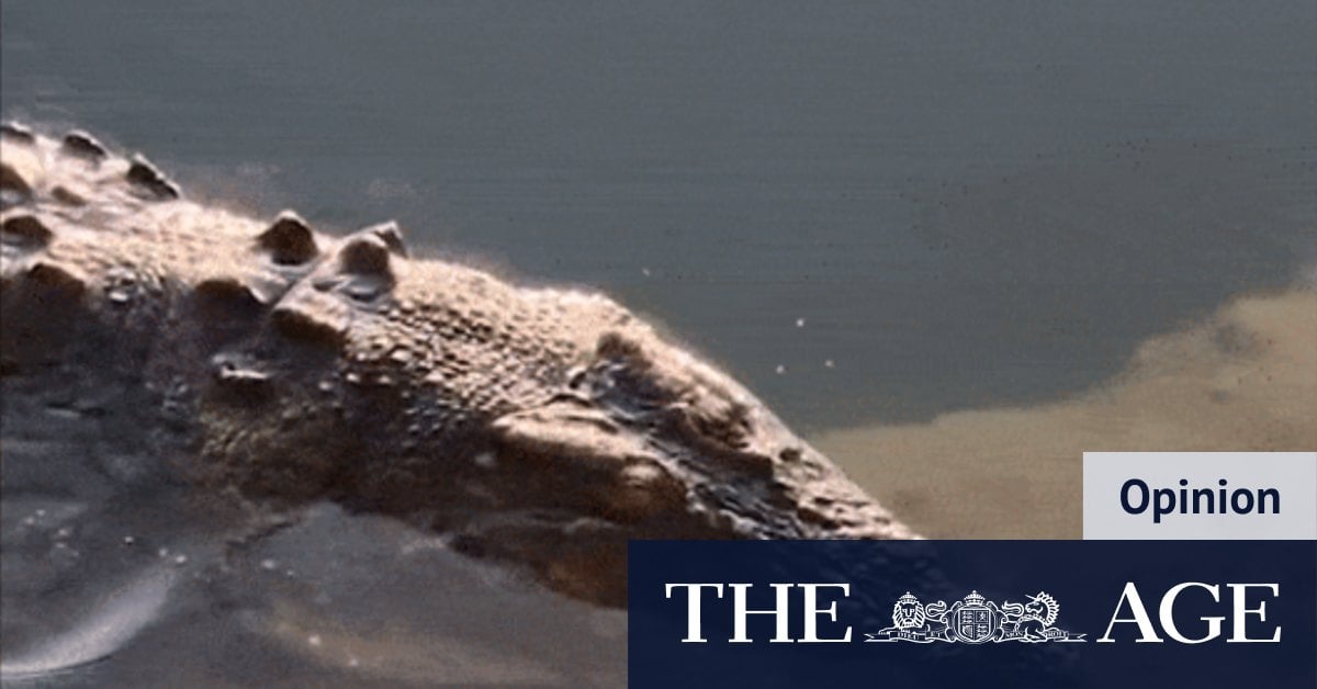 There are too many crocs in Australia. Time to unleash the hunters