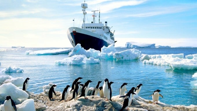 These Charter Yachts Are Tagging Hammerhead Sharks and Counting Spirit Bears for Research