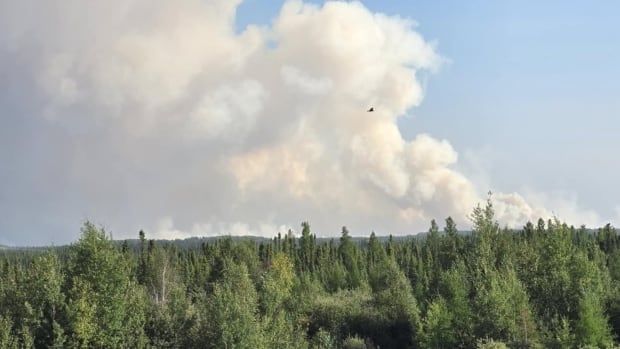 Thousands to evacuate as wildfire approaches Manitoba First Nation