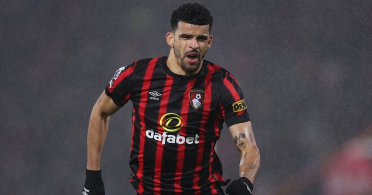 Tottenham hit Dominic Solanke hurdle as transfer chiefs given something to think about