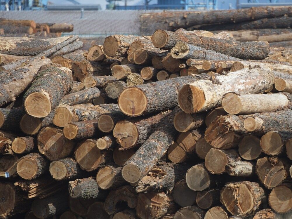 Trade minister criticizes higher U.S. softwood lumber duties as unfair, unwarranted