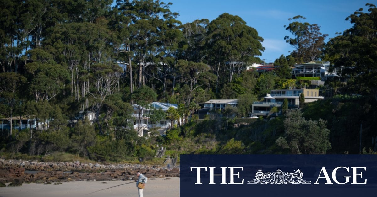 Ugly stoush over dogs on multimillion-dollar stretch of beach