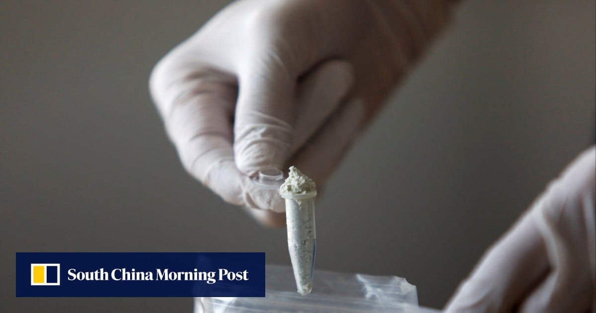 US-China fentanyl cooperation deepens as Beijing tightens controls for precursor chemicals