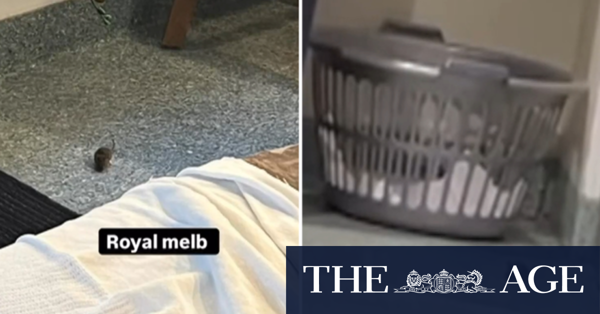 Victorian hospital reportedly experiencing mice infestation