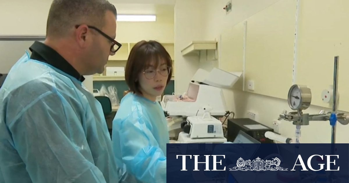 WA doctors leading fight against superbugs