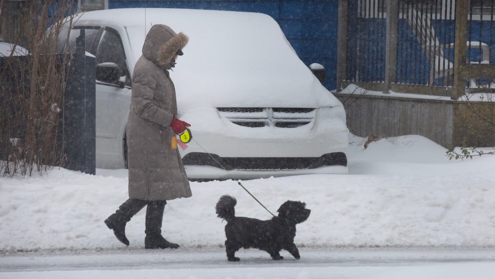 What will winter be like in Canada? Farmer's Almanac releases extended forecast