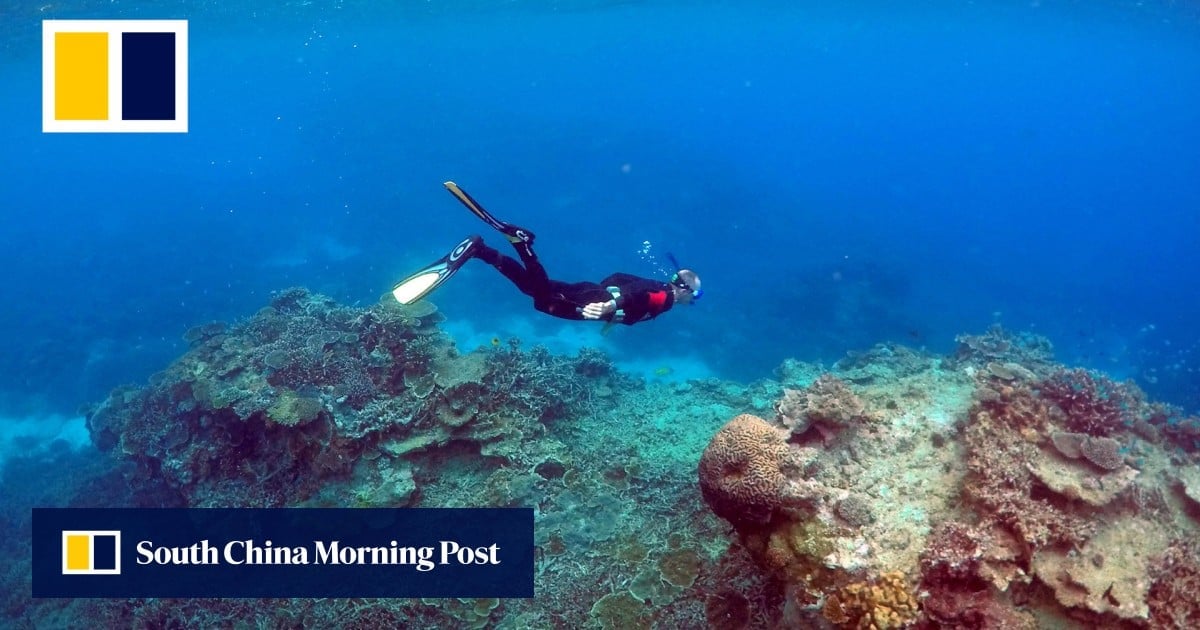 Why the Great Barrier Reef is vital for us, our oceans and our planet