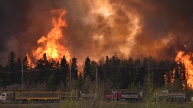 Wildfires can take a heavy toll on mental health. Here's what researchers say should be done to help evacuees