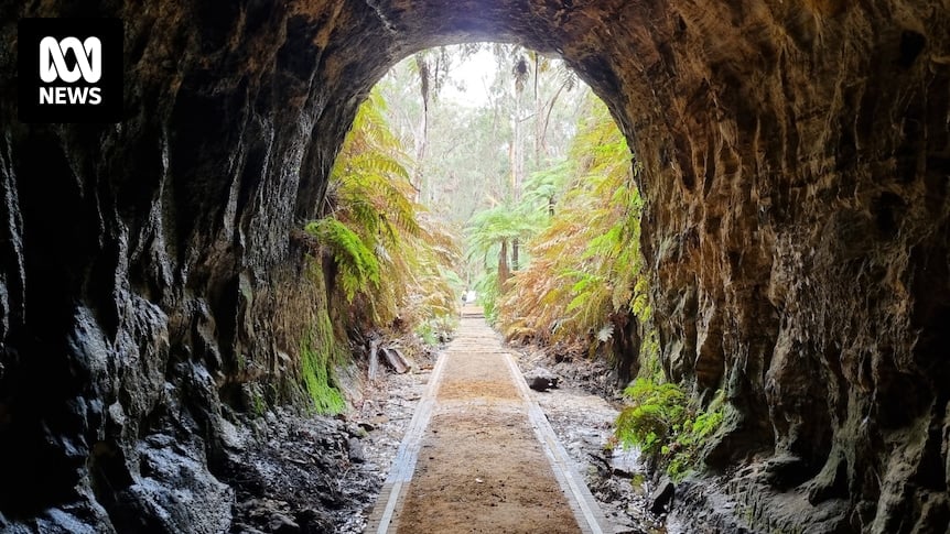 Wollemi National Park Glow Worm Tunnel upgraded by hand