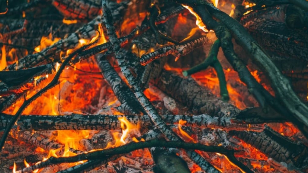 Woman arrested for starting forest fire on Vancouver Island, police say