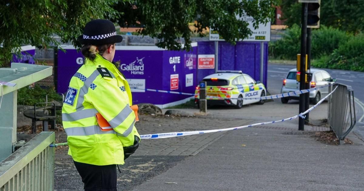 Woman in her 20s stabbed to death and suspect is on the run