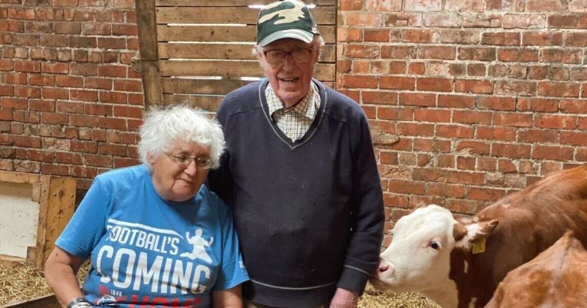 Yorkshire Vet stars Mr and Mrs Green's off-screen life - including TV star child