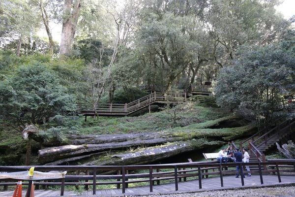 Alishan Sacred Tree Relics in Alishan, Taiwan