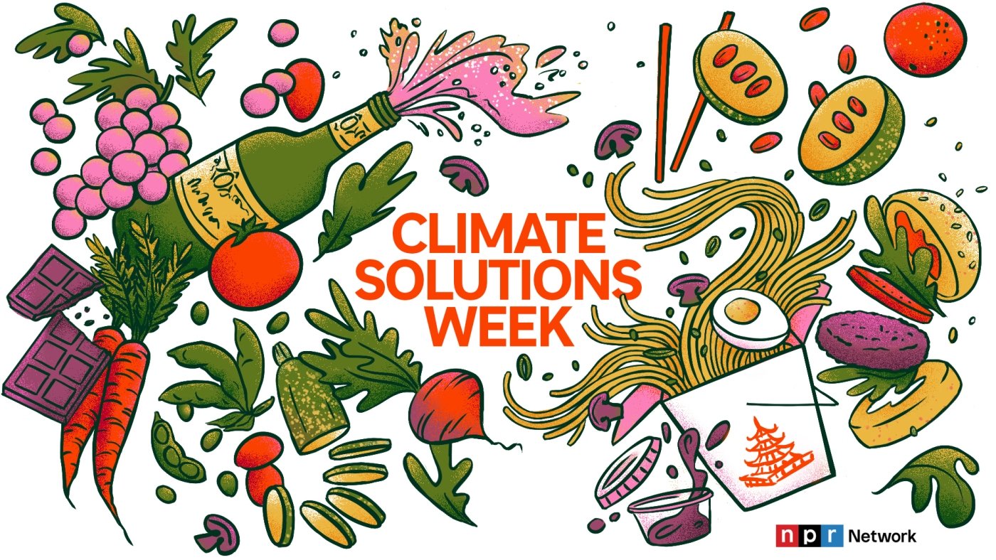 Climate Solutions Week: The future of food