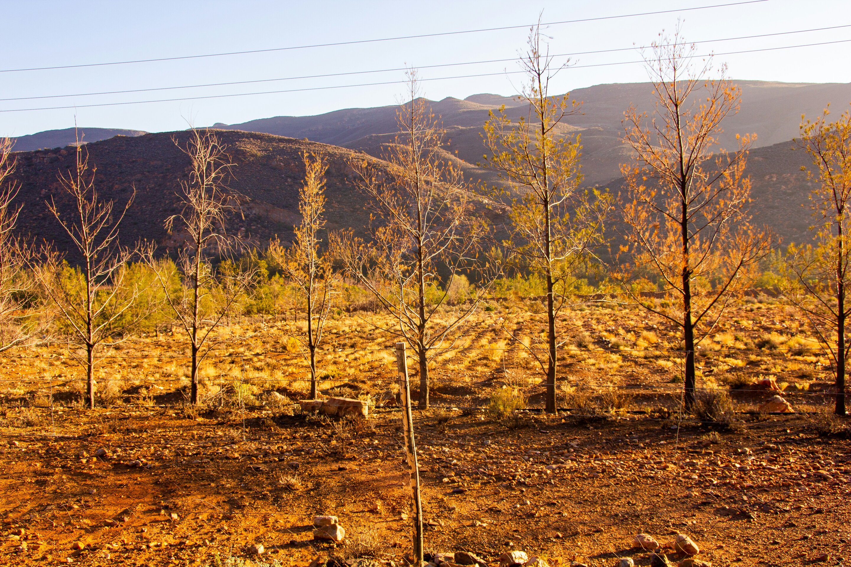 Study suggests US droughts, rainy extremes are becoming more severe