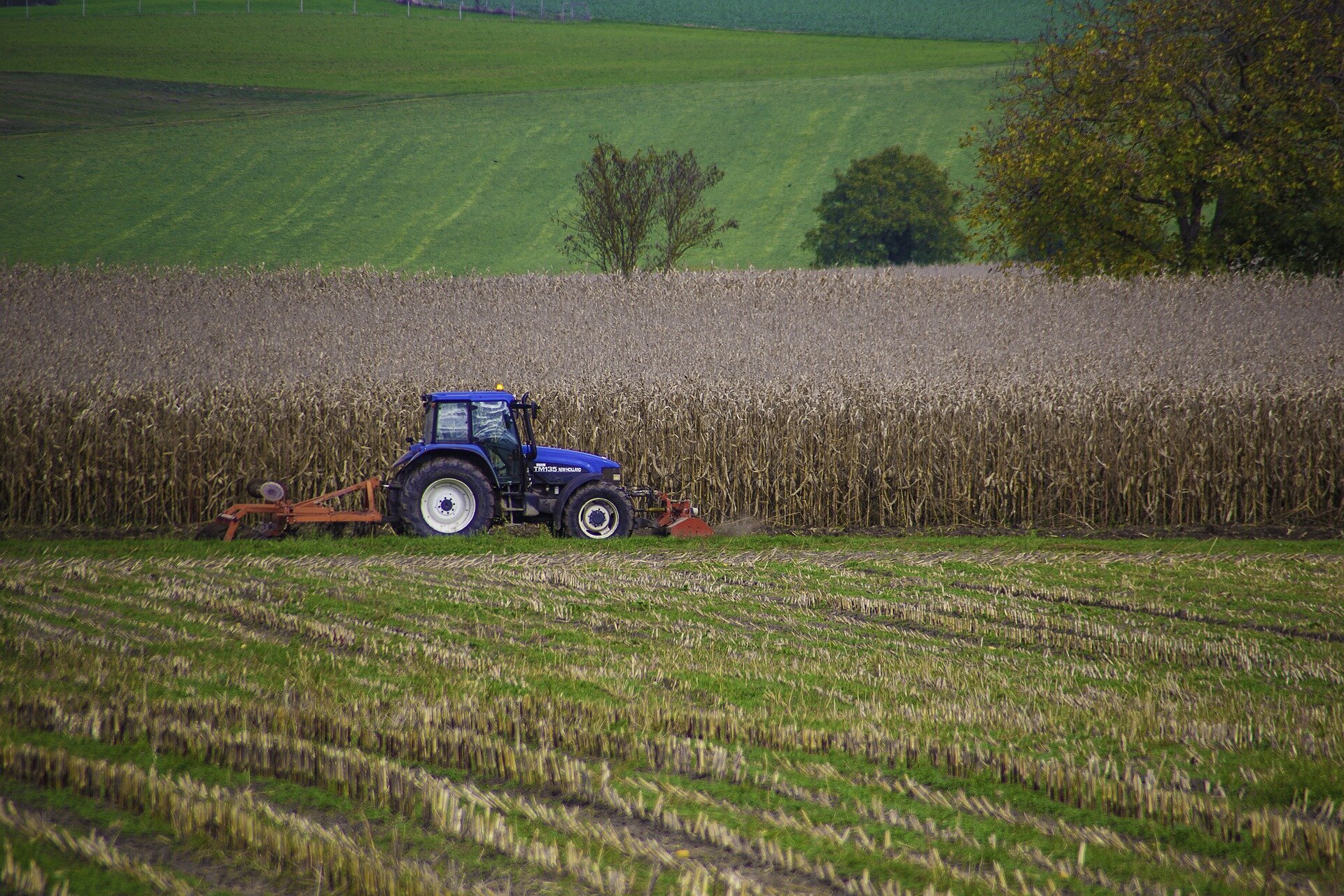 Farmer suicides may rise with climate change. Is Australia prepared?