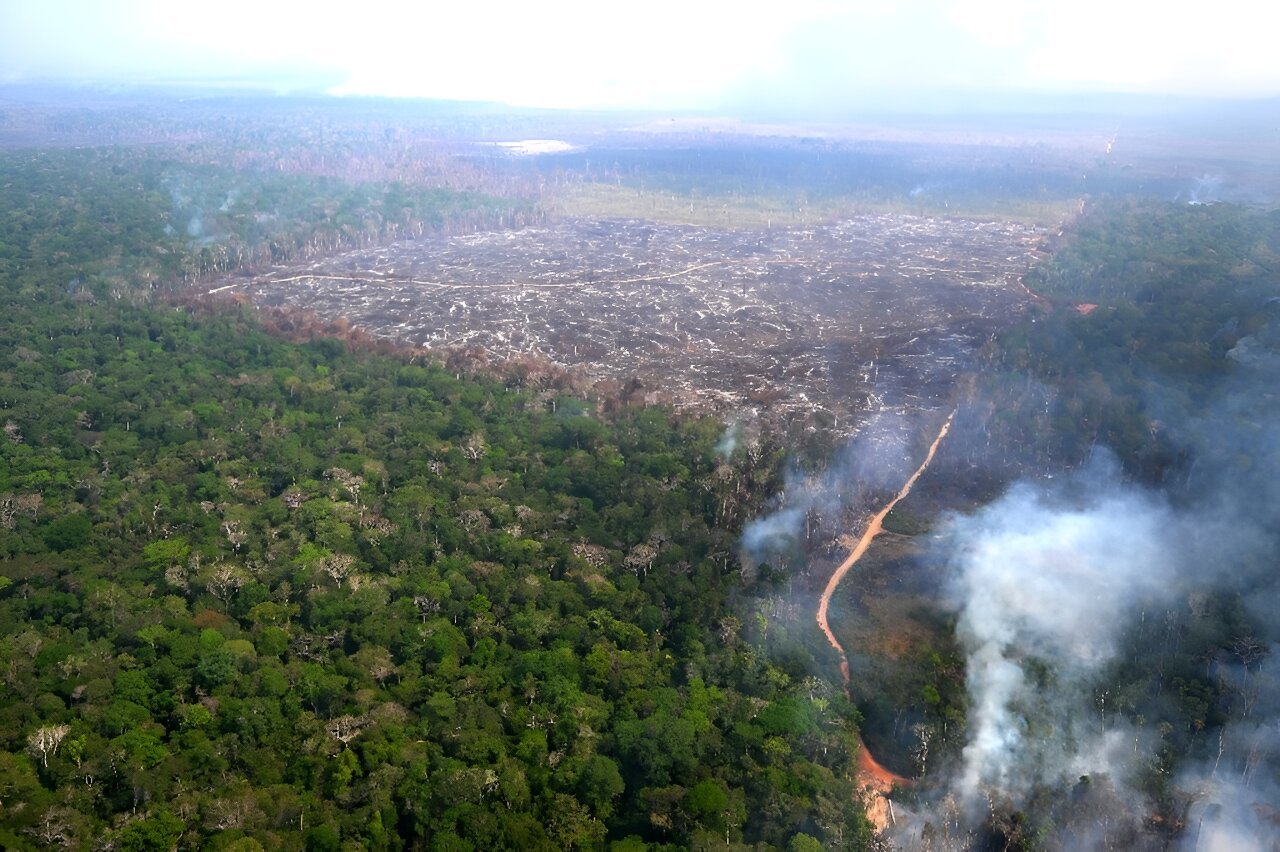 Brazil urges EU to suspend 'punitive' anti-deforestation law