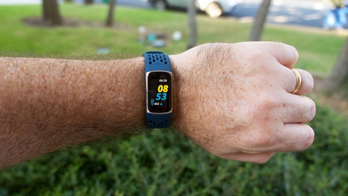 Your old Fitbit and Pixel Watches are picking up a free Fitbit Premium health feature