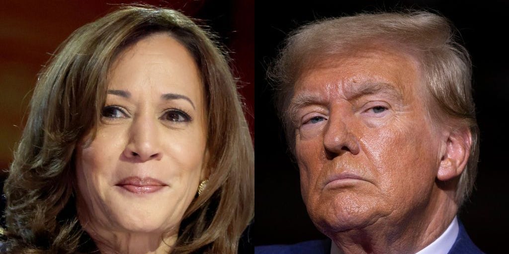 A historian who's correctly predicted 9 out of 10 elections says Kamala Harris will win in 2024