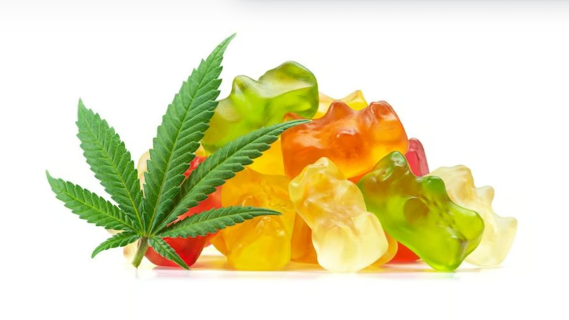 The Effects of Hemp Edibles: What Happens When You Consume Cannabinoids?