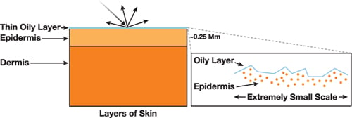 The Future of Skincare: Custom Cosmetics Powered by Visual Skin Analysis