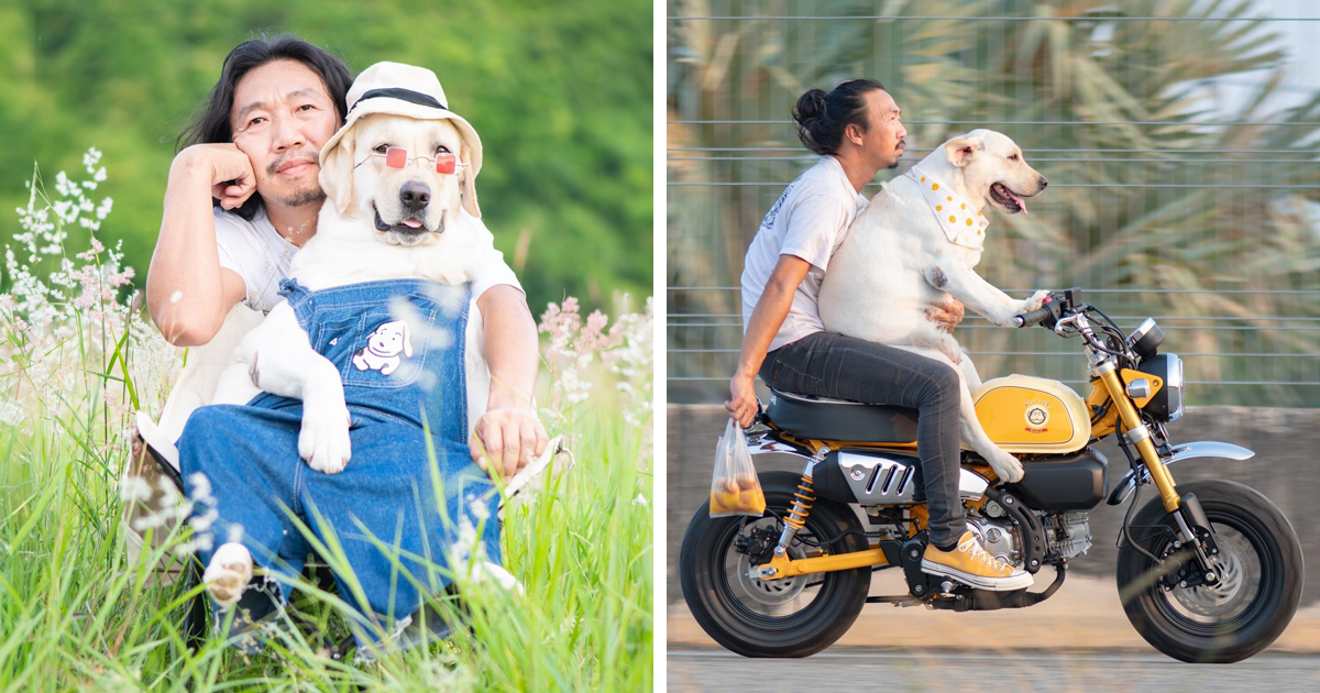 Thailand-Based Photographer Shares Adorable Photos Of Being Driven By His Cute Dogs