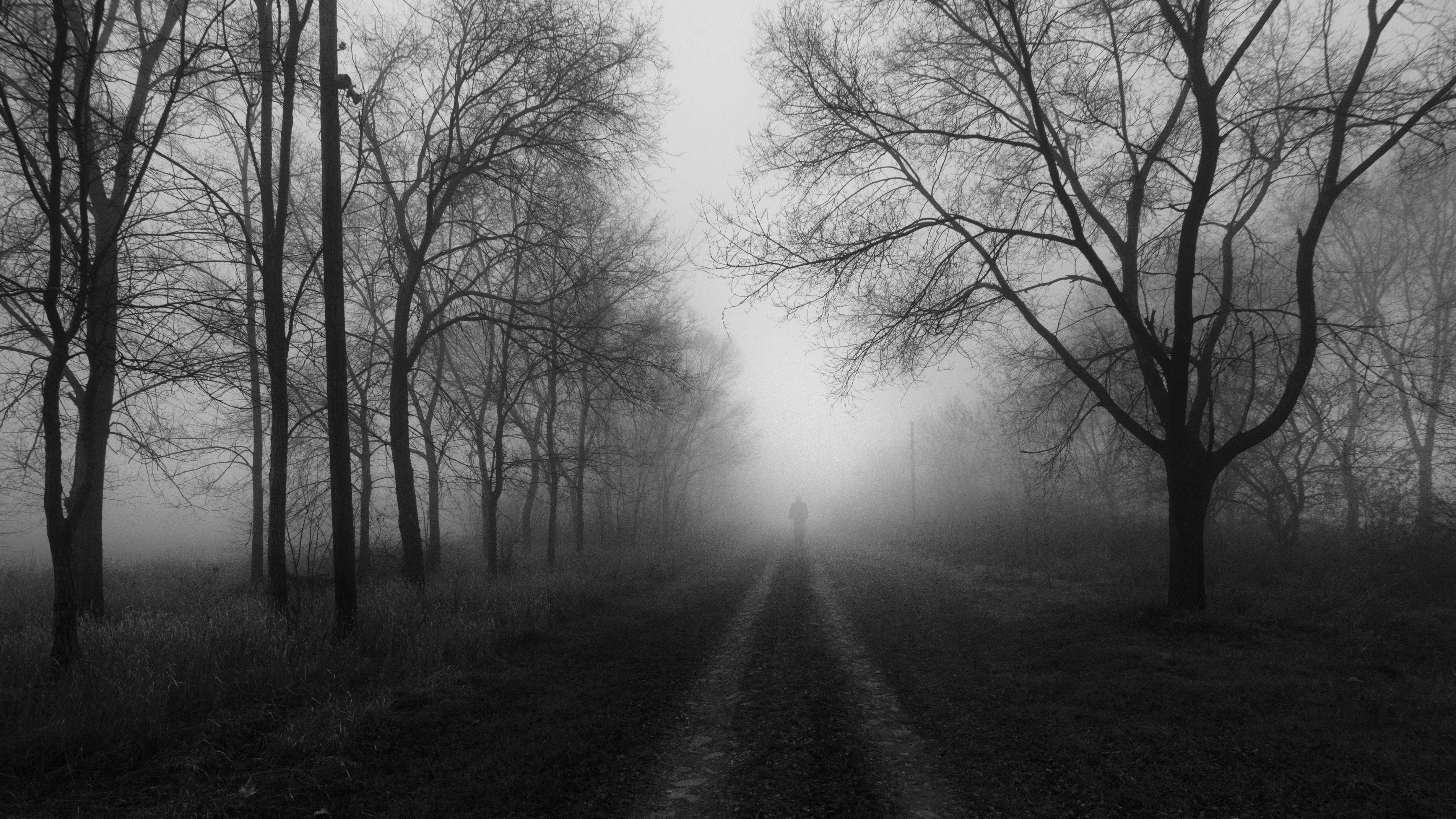 The 20 Most Haunted Highways on Earth