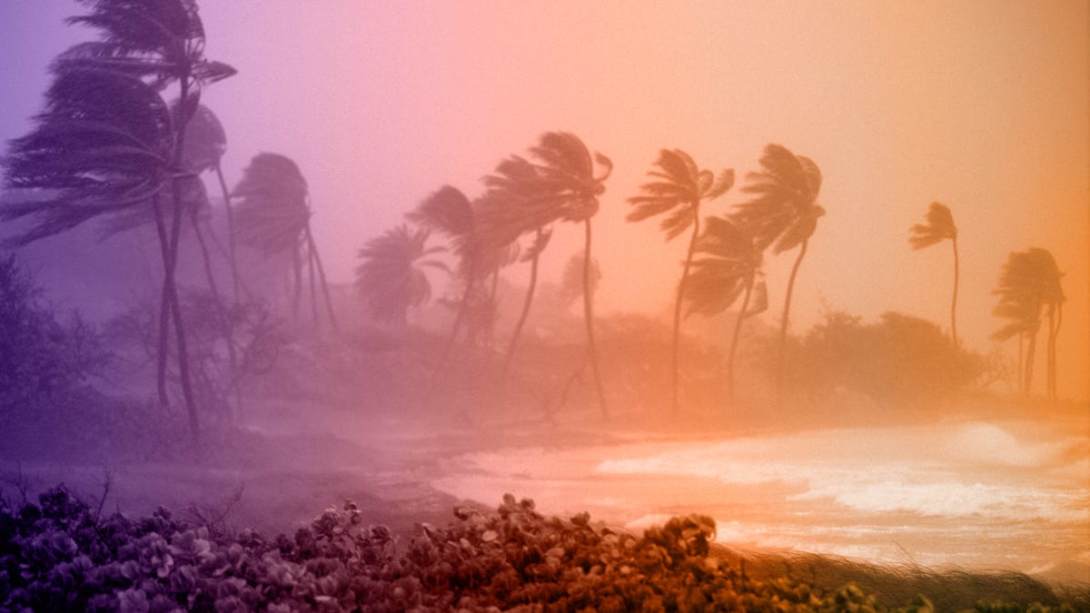 How to Protect Your Home During Hurricanes and Other Major Storms