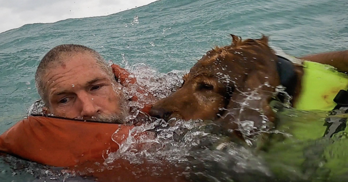 Video shows rescue of man, dog sailing during Hurricane Helene